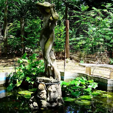 Valle 农家乐 *