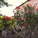 Farm stay Valle