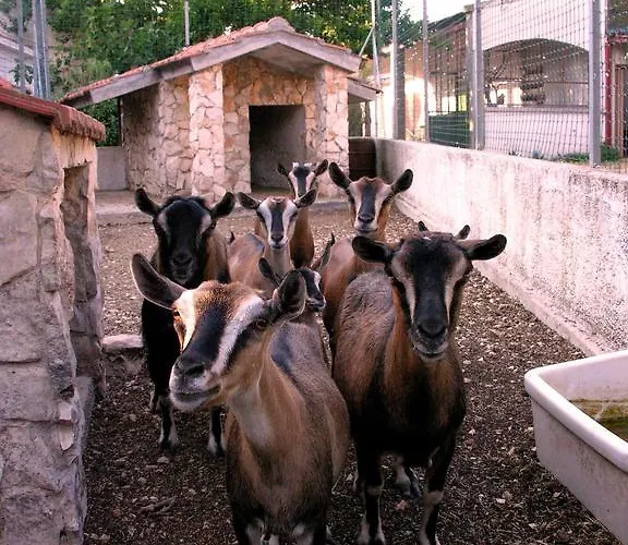Valle Séjour à la ferme